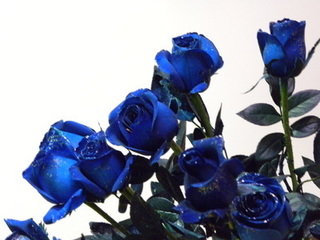 rBACFFPQPAjAIjpUAABOmn_bLoA281.jpg
