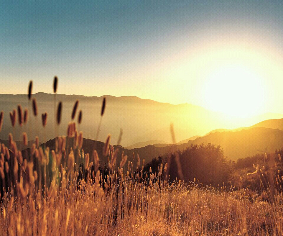 最美不过夕阳 喜欢就猛击分享! 标签: 情感意境风景