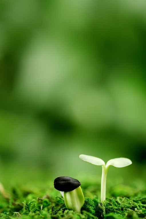 只要有生命就要希望